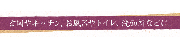 玄関やキッチン、お風呂やトイレ、洗面所などに