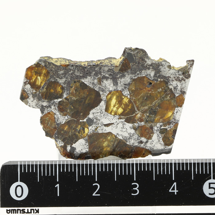 原石 パラサイト隕石 （ブラヒン隕石） No.1